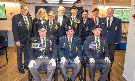 Town likes veteran banner idea