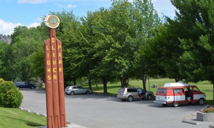 Tree planting project coming to Lion’s Park