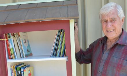 Father builds ‘little free library’ by request from daughter