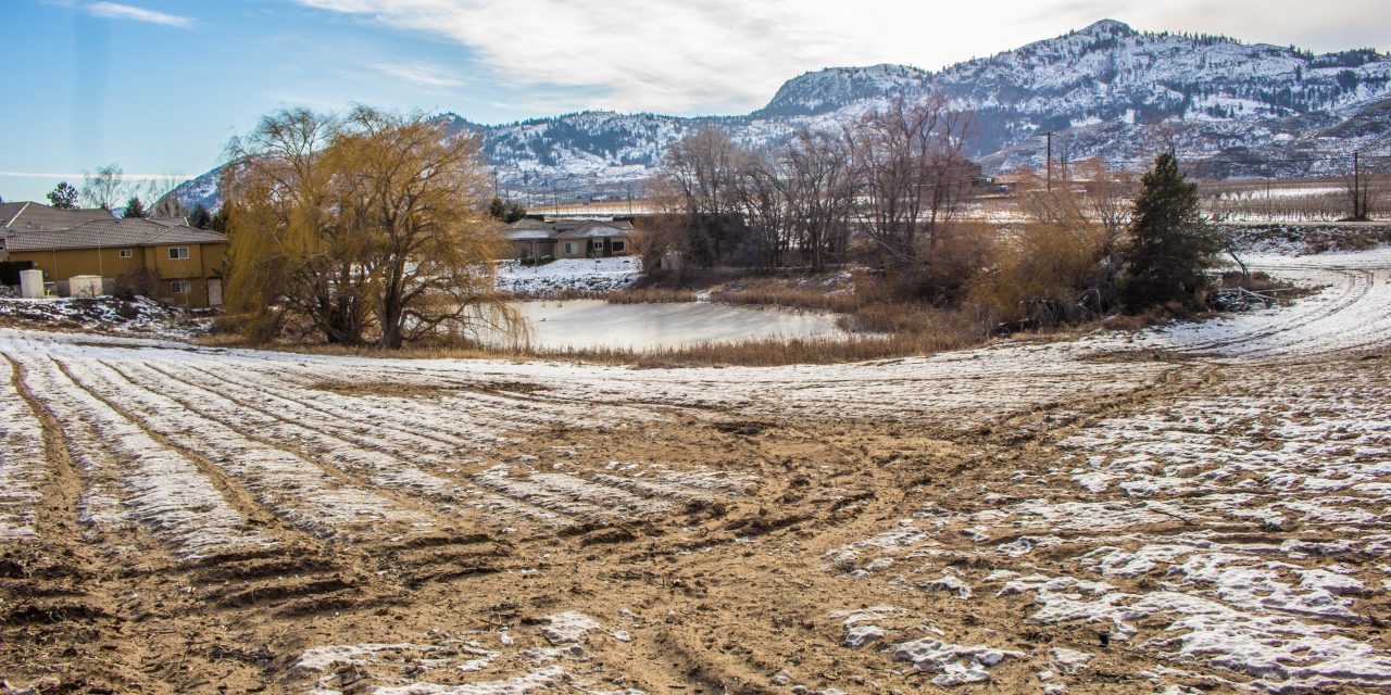 Subdivision proposed for Lobelia Drive