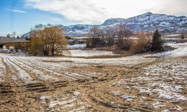 Lobelia development gets final approval
