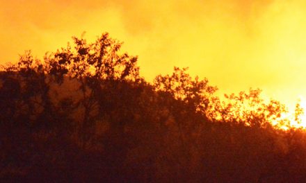 Open fire prohibition starts Sunday