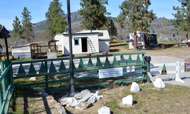 Police investigate shots fired in campground