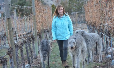 Oliver deerhound turns heads in New York