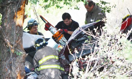 Firefighters rescue trapped motorist