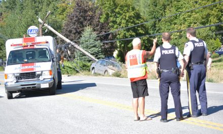 Police determine cause of Gallagher Lake collision
