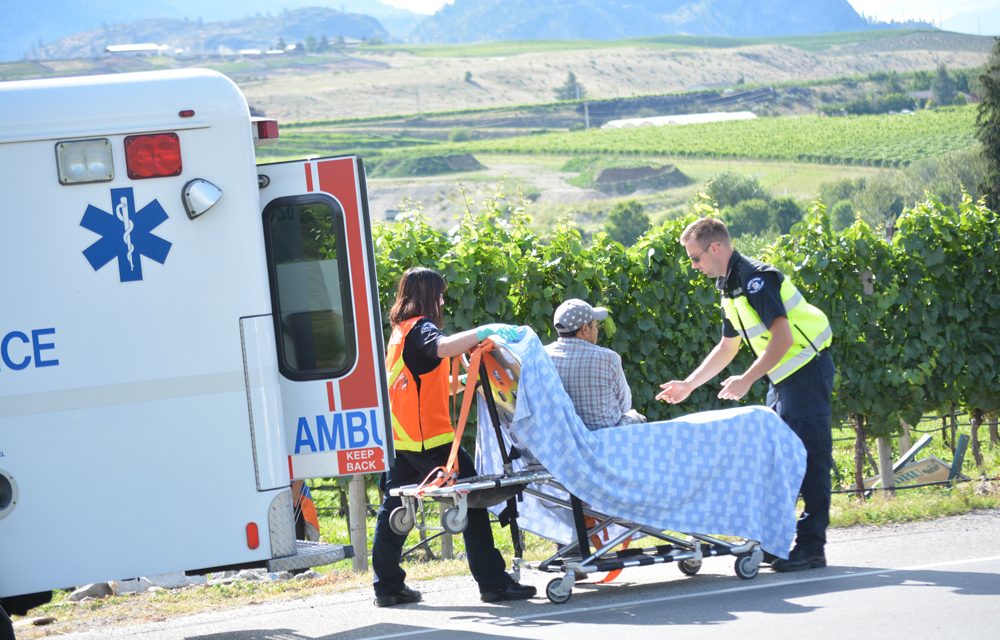 Stolen truck plows through vineyard, injures worker