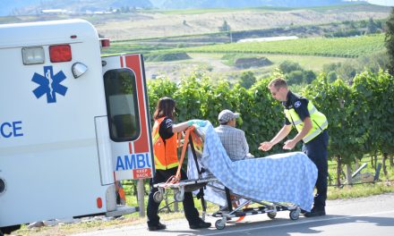 Stolen truck plows through vineyard, injures worker
