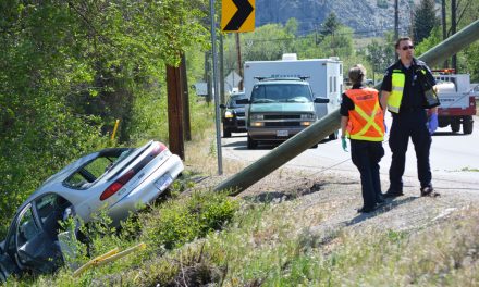 Driver flees scene after hitting pole
