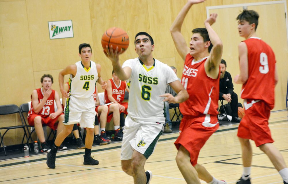 Hornets push Bears to thrilling overtime