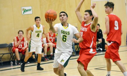 Hornets push Bears to thrilling overtime