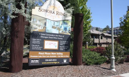 Real estate developers upset town bylaw officers have torn down signs