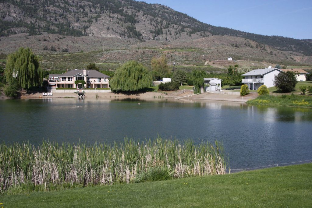 Town of Osoyoos Council voted last Thursday to turn the environmentally-sensitive Pfingsttag Pond into a protected conservation area after listening to the concerns of neighbours who live near the pond during a public hearing two weeks ago. The pond is home to hundreds of species of fish, birds, waterfowl, plants and wildlife. The pond will be protected once construction begins on the new Richter Property subdivision. Council has officially applied to the Agricultural Land Commission to have more than three acres of land removed from the Agricultural Land Reserve to allow the new subdivision to proceed. (Keith Lacey Photo)