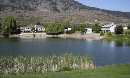 Wren Place neighbours inform council about concerns over new development