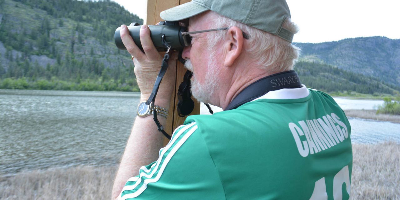 New bird blind built at Vaseux Lake