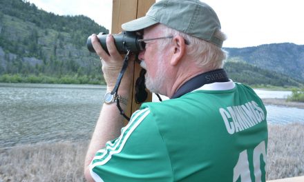 New bird blind built at Vaseux Lake