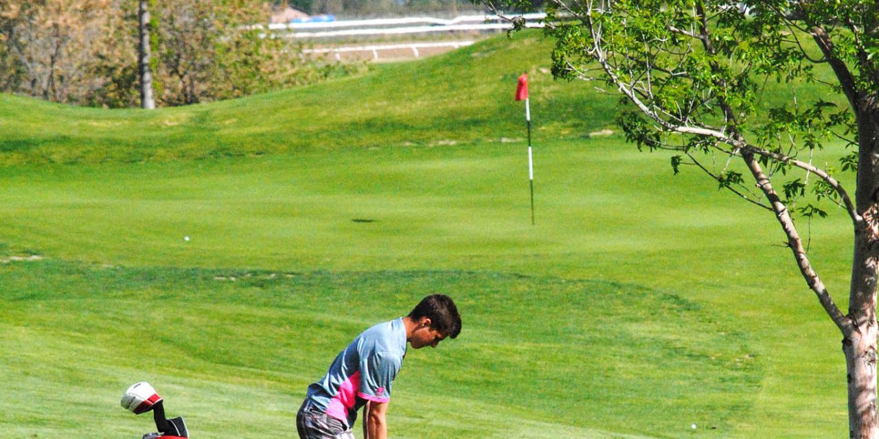 OSS golf team very young, but proving it can compete with much larger schools
