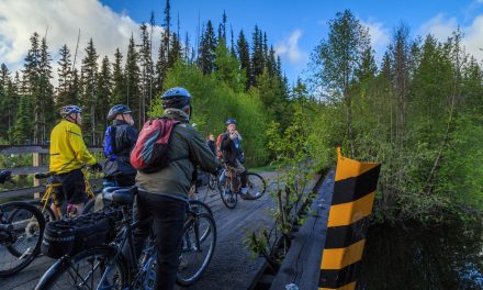 Meadowlark Nature Festival cancelled for 2020