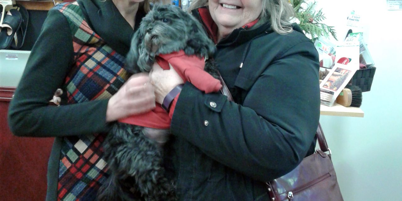 Osoyoos woman reunited with beloved pet after thief steals her car