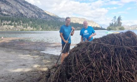 Vaseux Lake community aiming to rid waters of invasive milfoil