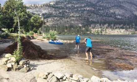 Vaseux Lake milfoil on water board’s radar