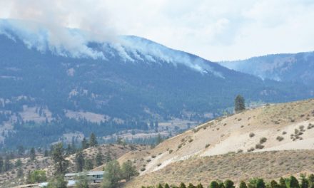 Mountain fire 80 per cent contained