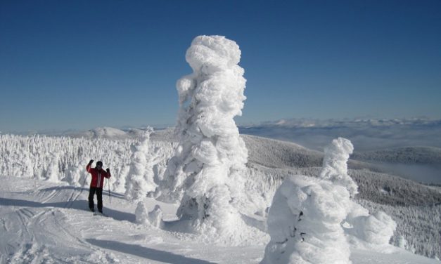 Baldy closed for the day