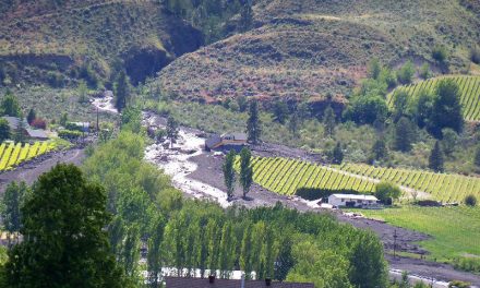 Annual dam safety report highlights more audits