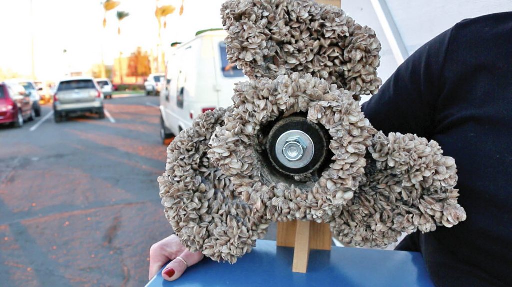 Quagga mussels encrust a boat propeller in this shot from the short film Mussel Threat. The Okanagan Basin Waterboard (OBWB) is warning that if the province fails to take adequate measures to stop mussels from invading Okanagan waters, local taxpayers must not be on the hook for an estimated $43 million annually to mitigate the problem. (Photo supplied)