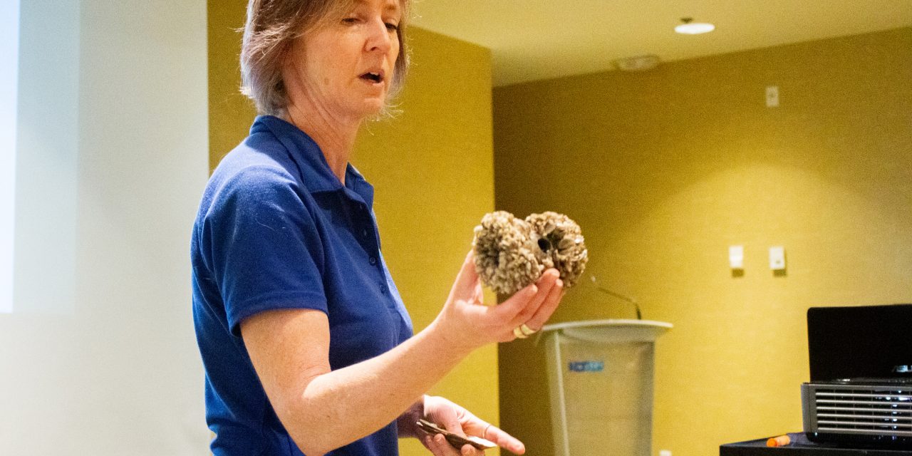 Progress made, but mussels could ‘change the Okanagan forever’