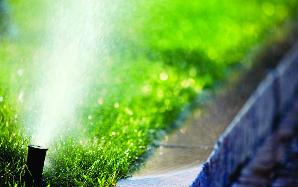Water restrictions in effect