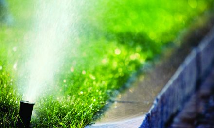 Water restrictions in effect