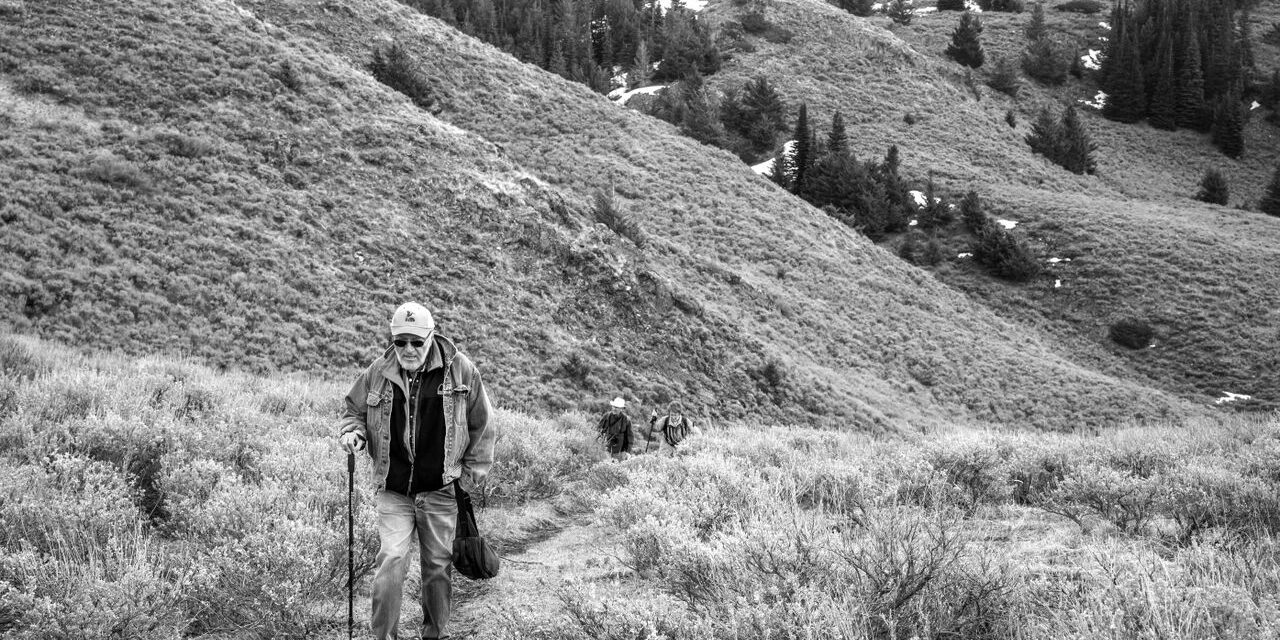 Government releases results of Intentions Paper on land protection measures