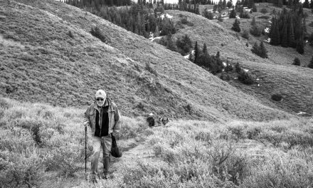 Government releases results of Intentions Paper on land protection measures