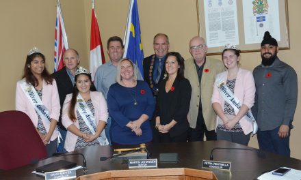 Council highlights
