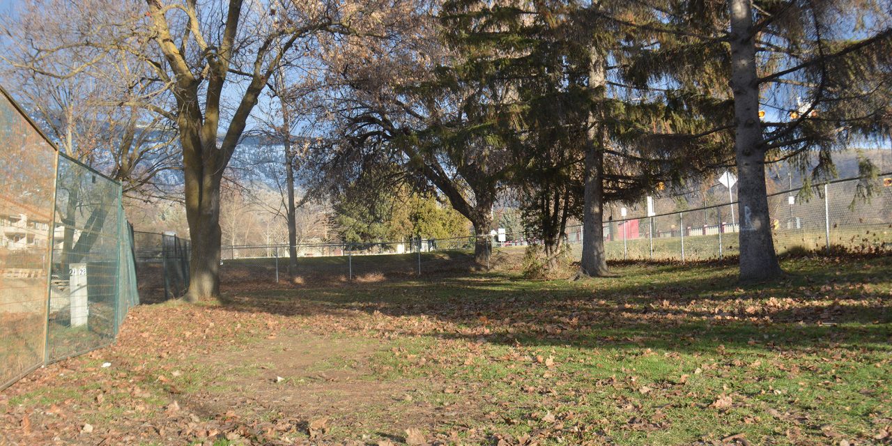Council reviews new park design