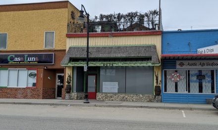 Another cannabis shop seeks approval