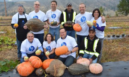 Constellation Brands harvests bounty for the hungry