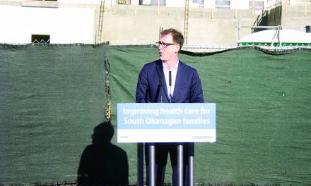 Health minister considers new way to pay ER docs at SOGH