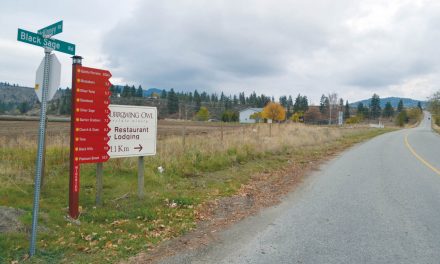 Winery owners are angry and frustrated following rash of recent break and enters
