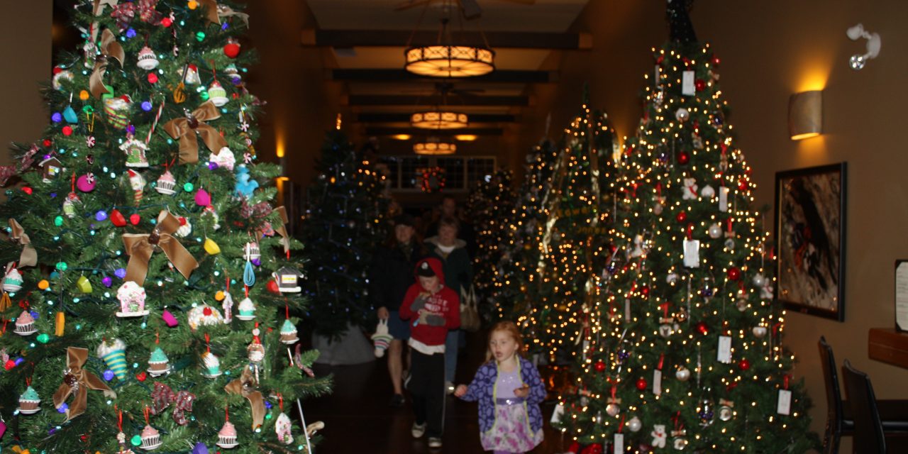 THOUSANDS EXPECTED TO ATTEND THIS YEAR’S NK’MIP FESTIVAL OF TREES AT SPIRIT RIDGE