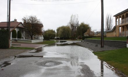 HARBOUR KEY DRIVE RESIDENTS ASK TOWN COUNCIL TO CONSIDER UPGRADING ROAD AND INFRASTRUCTURE