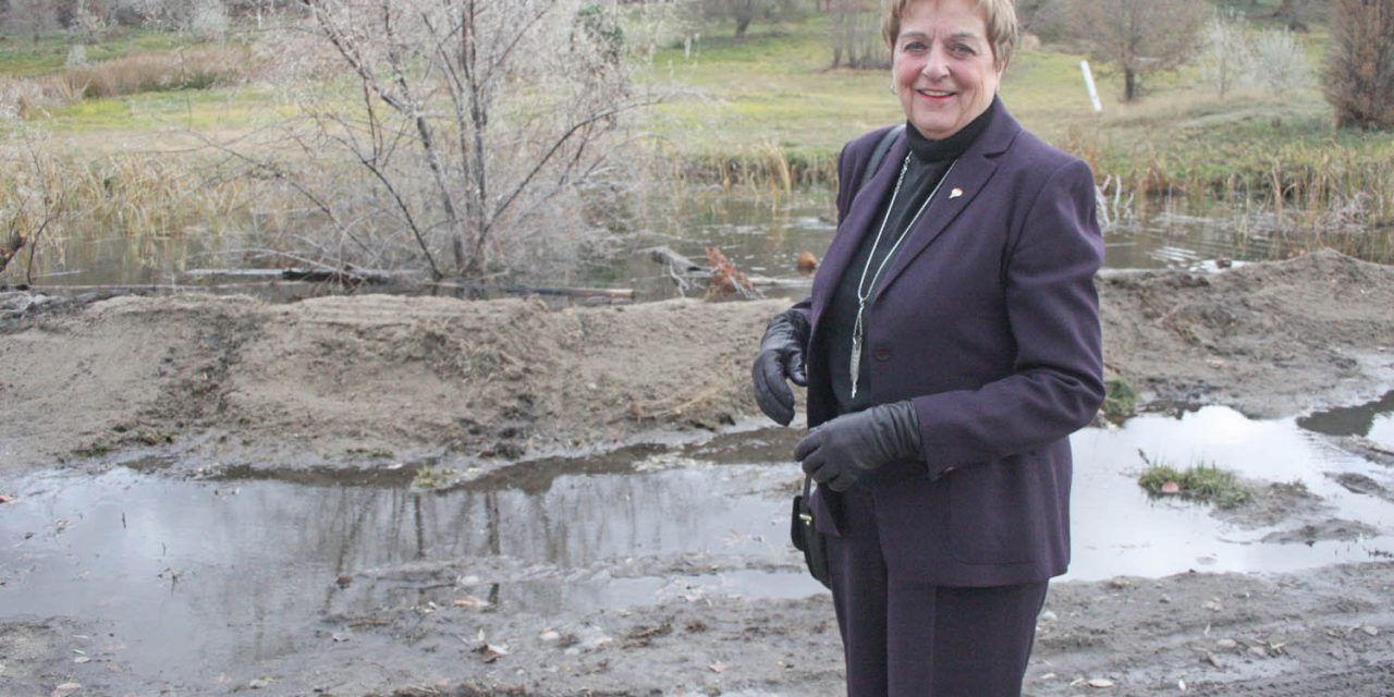 Realtor urges council to rethink housing project in wetland