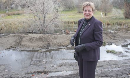 Realtor urges council to rethink housing project in wetland