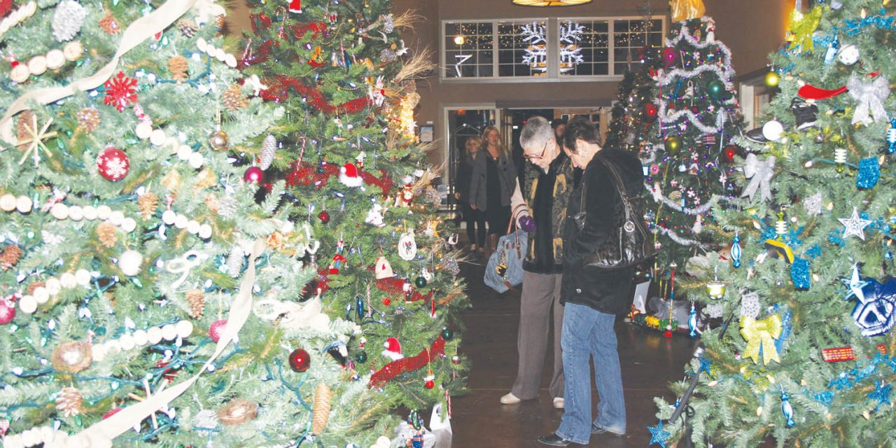 Popular Festival of Trees has expanded to different locations across the region