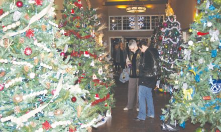 Popular Festival of Trees has expanded to different locations across the region