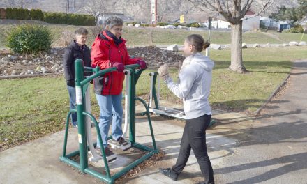 Health professionals donate time and skills to promote health at inaugural Day of Wellness