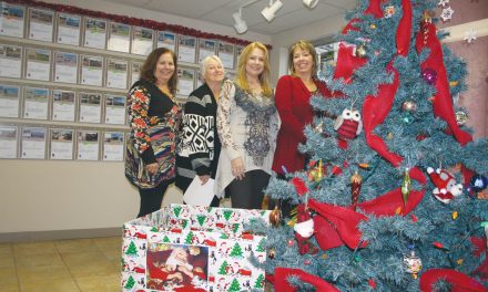 Local realtor once again sponsoring Christmas fundraising drive for SPCA