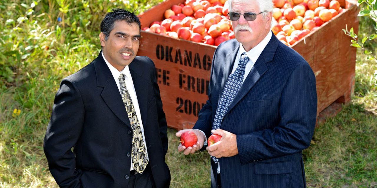 South Okanagan fruit growers are pleased with funding for long-term replant program