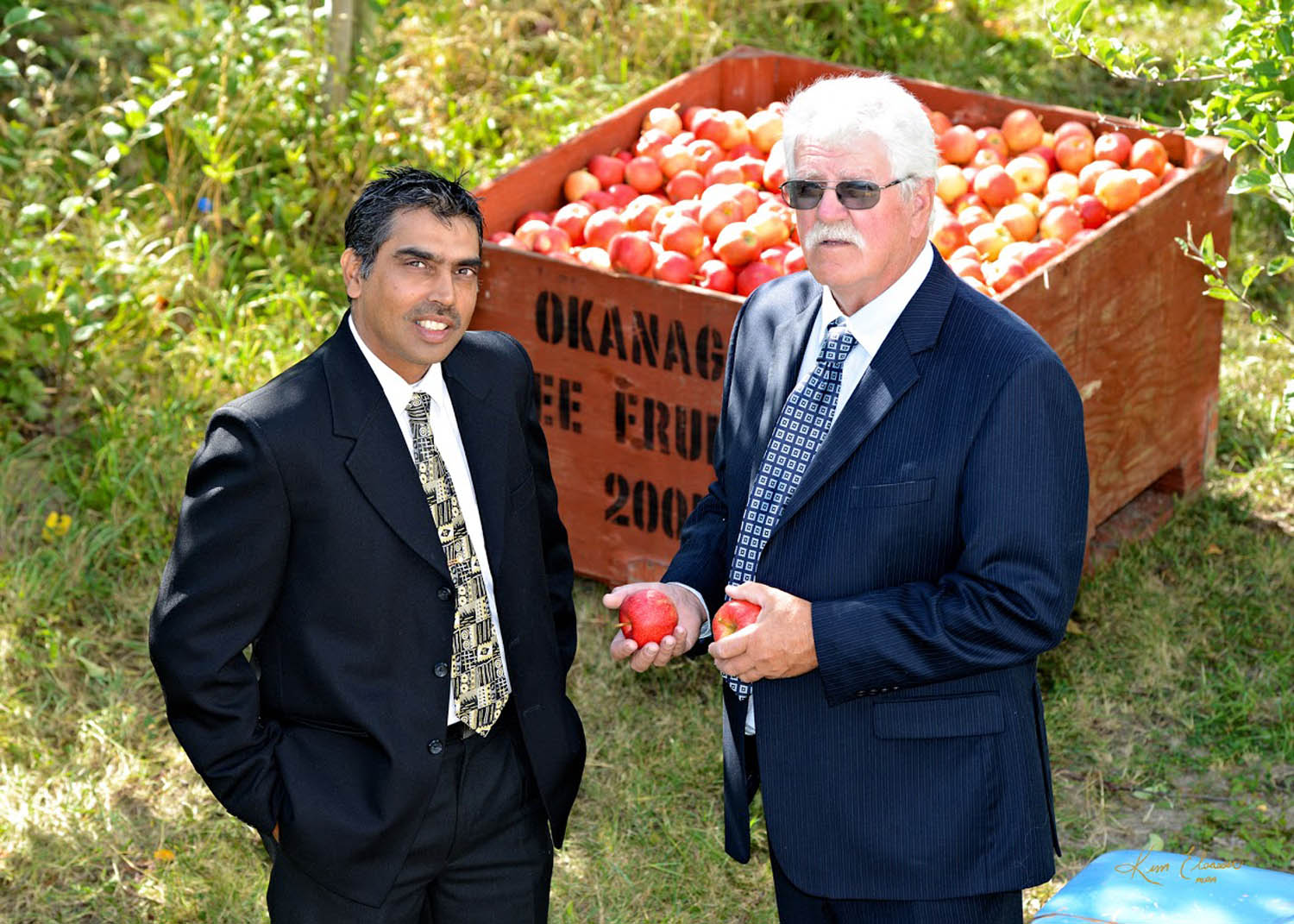 South Okanagan fruit growers are pleased with funding for longterm